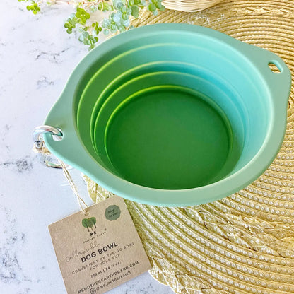 Green silicone collapsible dog bowl.